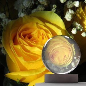 Meet your Posher, Frugal Worthy.